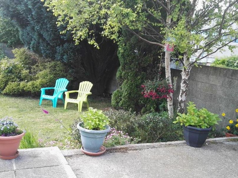 twee stoelen en twee potplanten in een tuin bij The Vee Guest Accommodation in Waterford