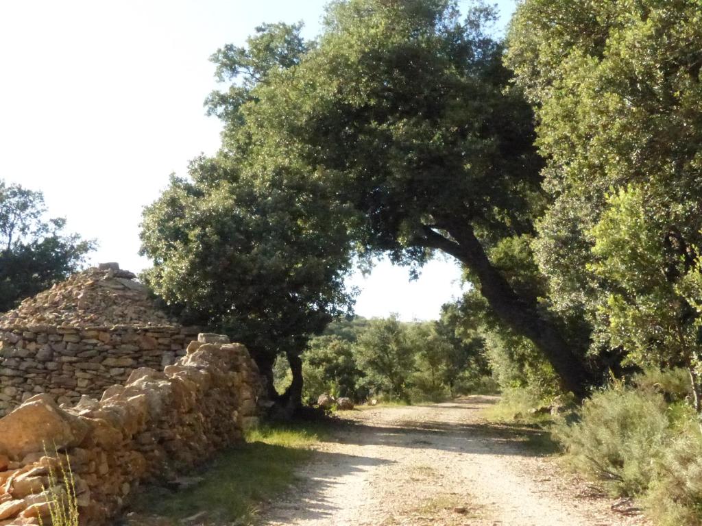 MOLINO DOLZ, La Iglesuela del Cid – Updated 2023 Prices