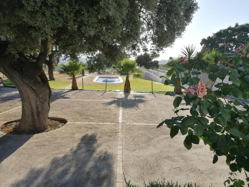 Jardín al aire libre en Alojamiento Rural El Chaparral