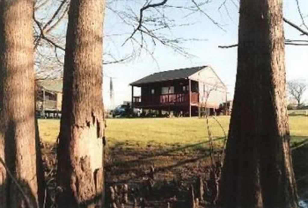 ein großes Haus auf einem Feld mit zwei Bäumen in der Unterkunft Susan's Cottages in Alexandria