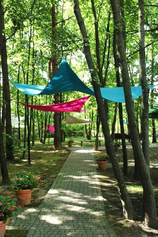 Dwór Czarneckiego - Resim 43