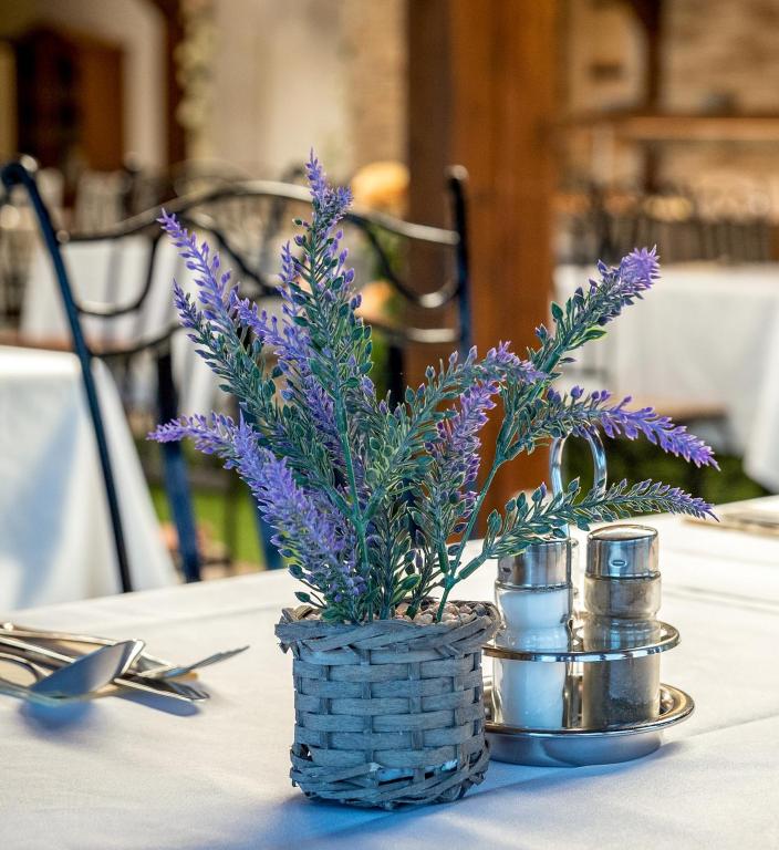 Fotografie z fotogalerie ubytování Éden Lounge Restaurant & Pension v destinaci Veresegyház