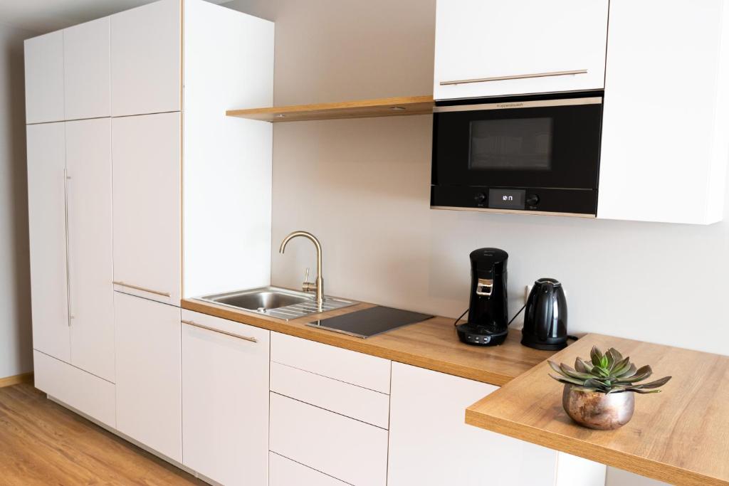 Kuchyň nebo kuchyňský kout v ubytování bodenseezeit Apartmenthotel Garni