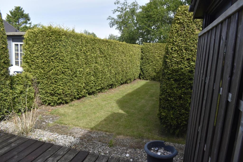 a garden with a hedge and a yard with grass at Land-gut-Hotel Westerkrug in Wanderup