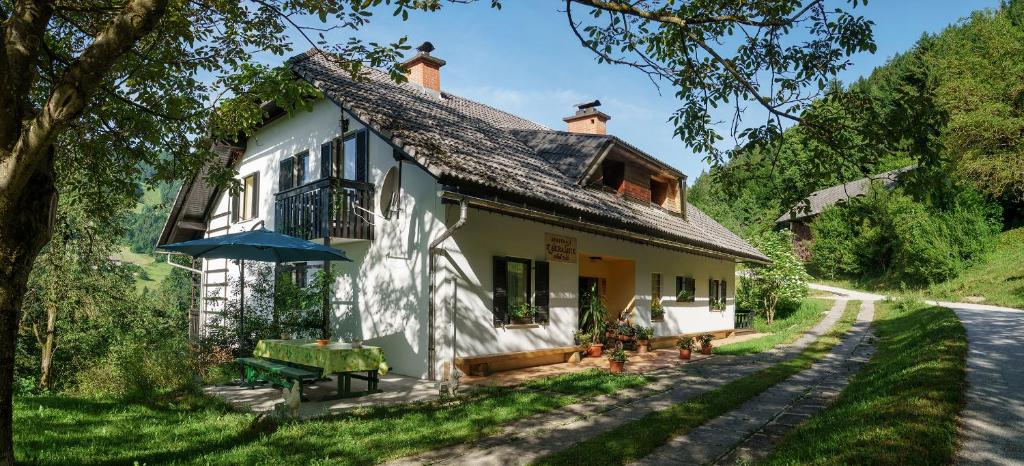 a white house with an umbrella next to a road at Apartments Zakrasnik in Škofja Loka