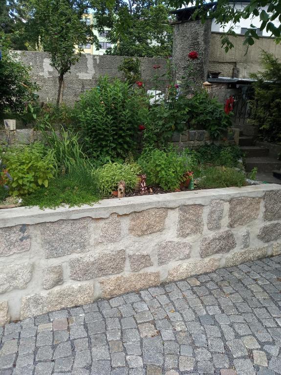 Een tuin van Apartmány Friday