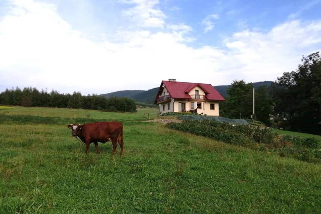 Príroda v okolí apartmánu
