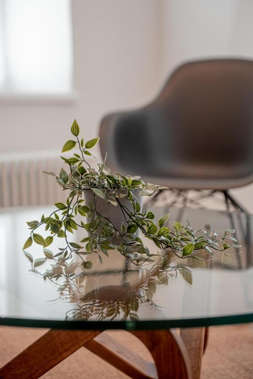 Tergestroom & boutique apartments - Resim 19