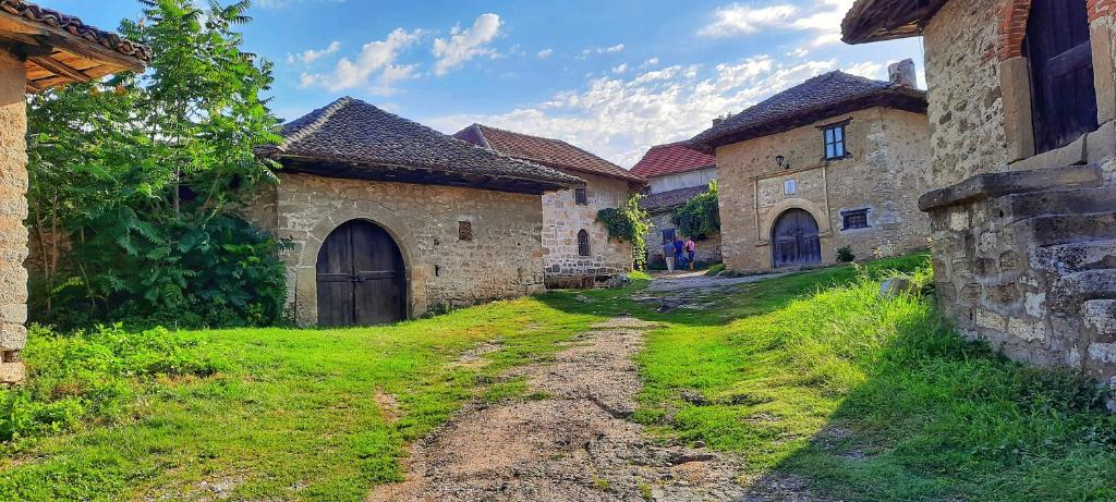 Zahrada ubytování Vila Milenovic Rajacke Pivnice