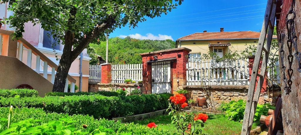 Zahrada ubytování Vila Milenovic Rajacke Pivnice
