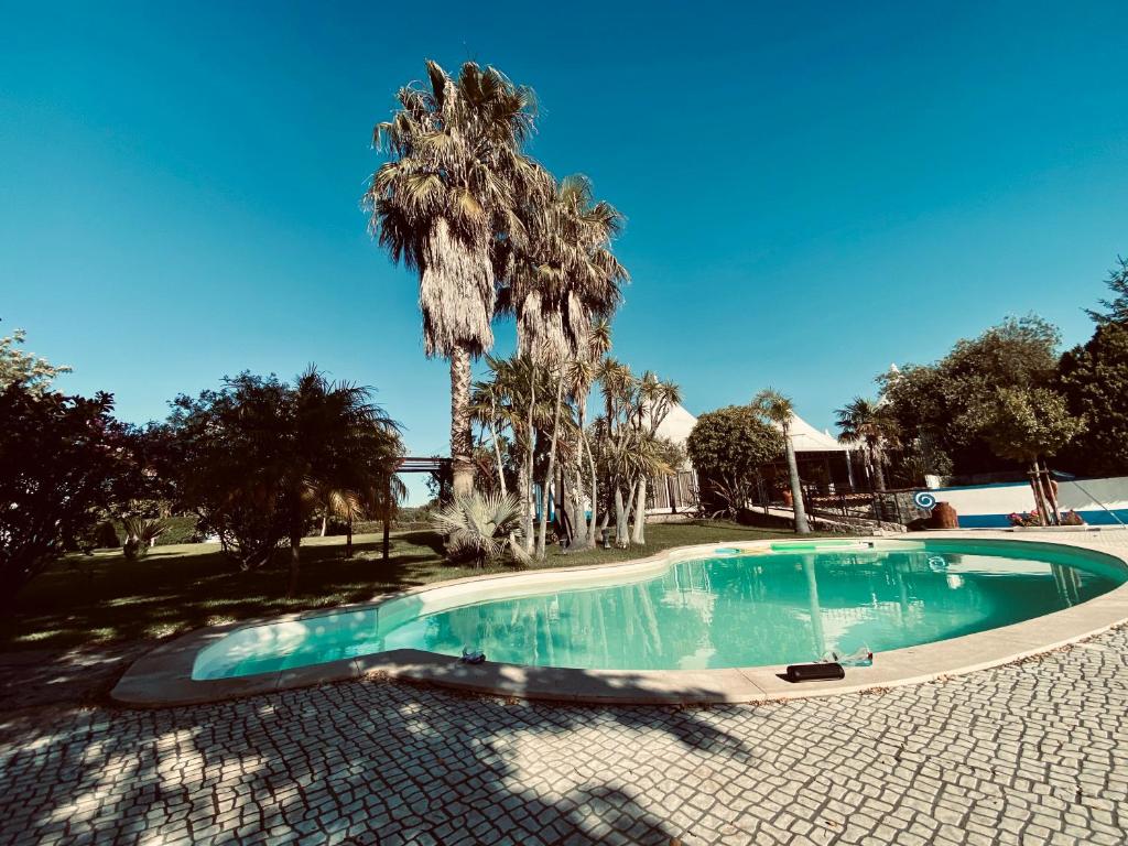 a swimming pool with a palm tree next to it at Quinta das Tílias in Santiago do Cacém
