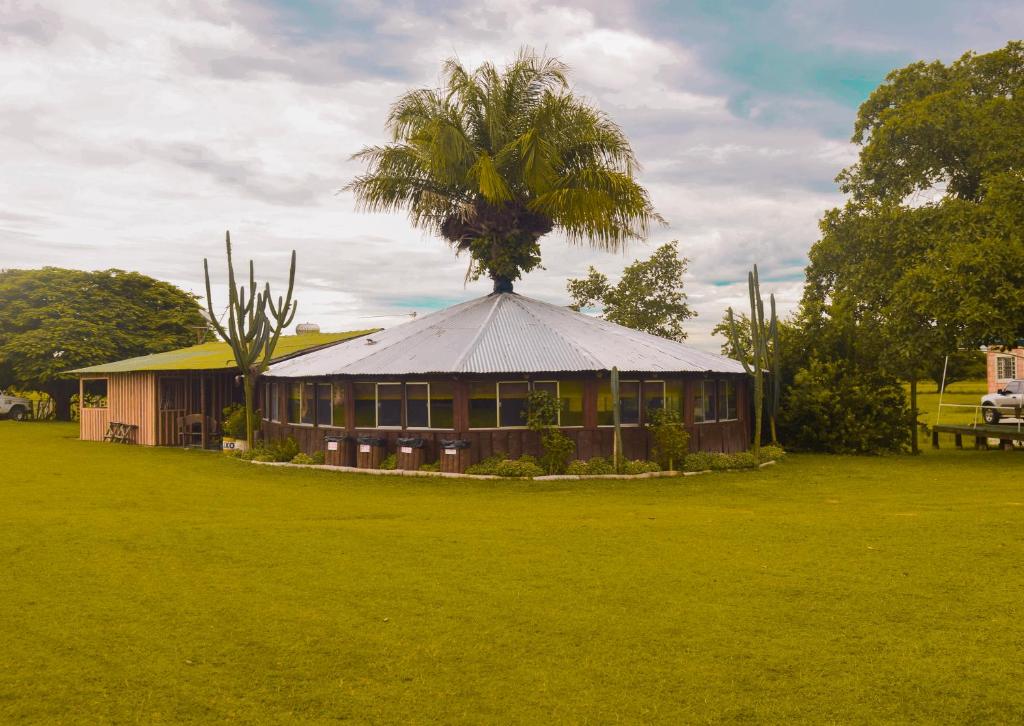 a house with a palm tree on top of it at Pousada São João - Estrada Parque Pantanal in Corumbá