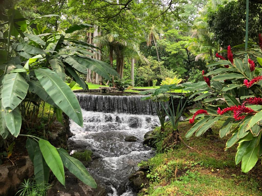 a waterfall in a tropical garden with flowers at Thermal Paradise Villa in Caluco