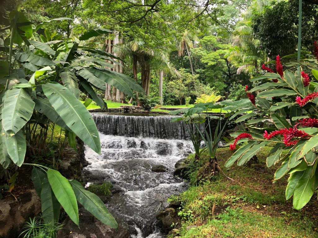 a waterfall in a tropical garden with flowers at Thermal Paradise Villa in Caluco