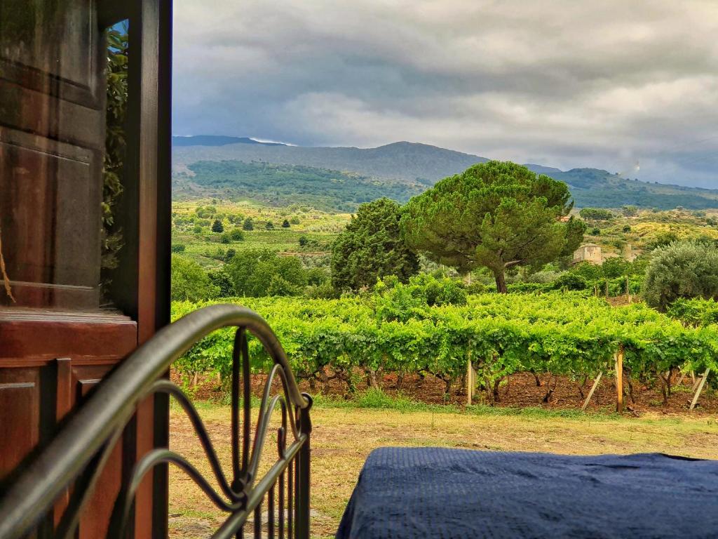 a room with a balcony with a view of a vineyard at Suite in vigneto in Passopisciaro