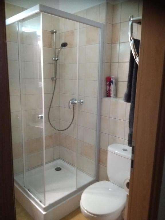 Łazienka w obiekcie KarosPool Apartman