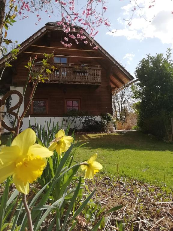 Zdjęcie z galerii obiektu Fewo Martiner w mieście Ferndorf