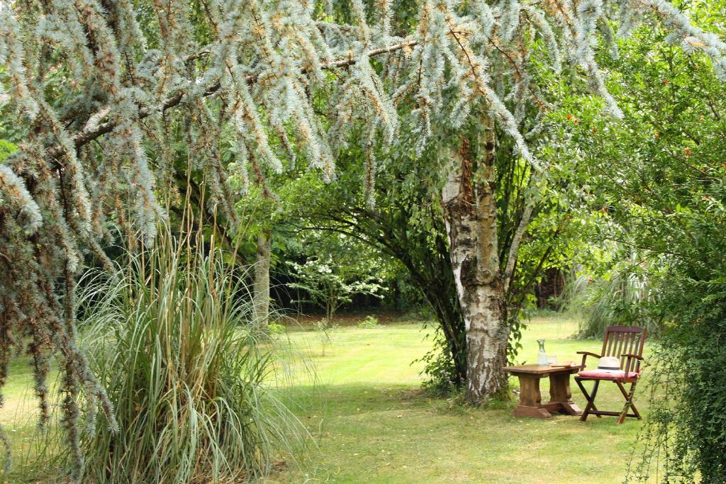 una panchina seduta sotto un albero in un parco di Au Plech a Mont-dʼAstarac