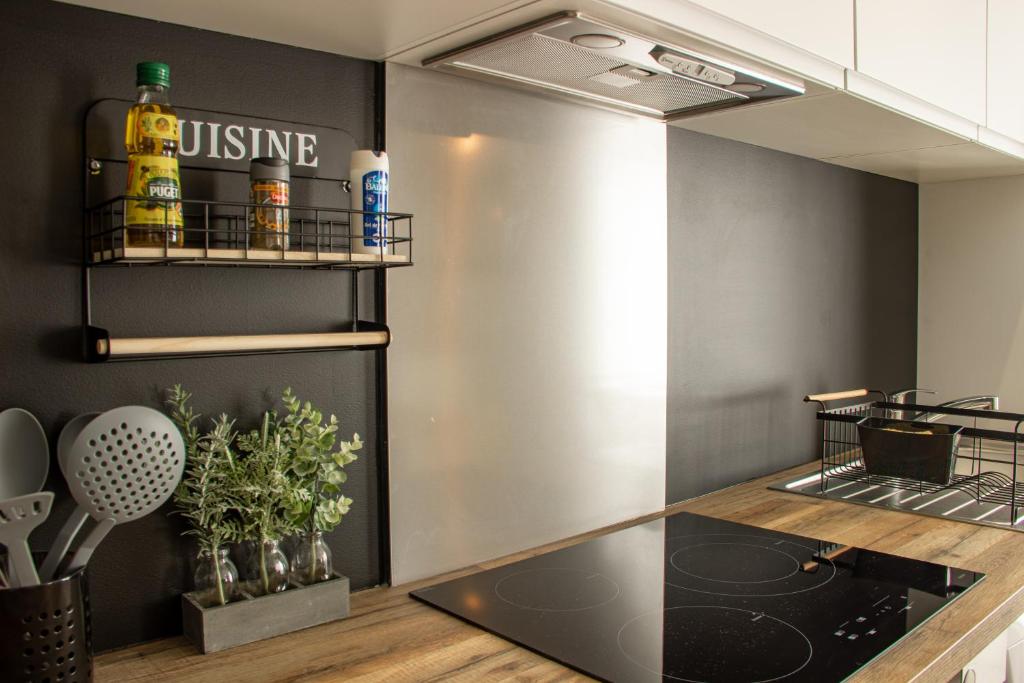 Kuchyň nebo kuchyňský kout v ubytování Appartement La Madeleine