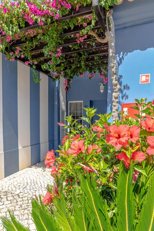 Zahrada ubytování Aldeia Azul Resort