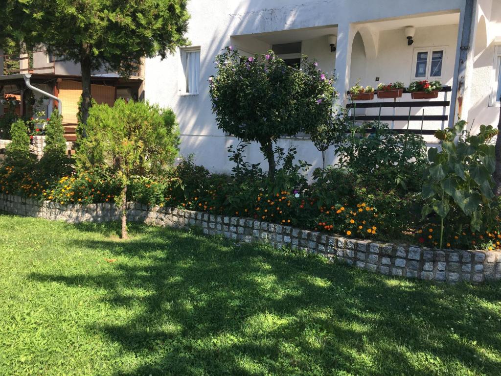 Zahrada ubytování Apartmani Spasić