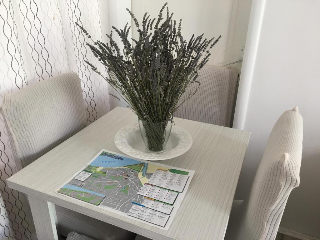 Fotografie z fotogalerie ubytování Apartmani Spasić v destinaci Smederevo