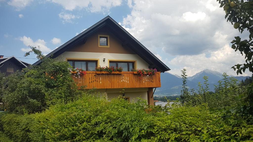 Příroda nedaleko apartmánu
