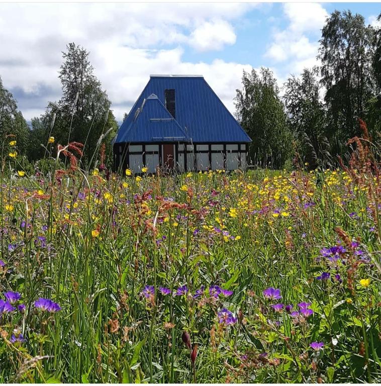 Zahrada ubytování Book in Borgafjäll - New cabins for rent at the slalom slope