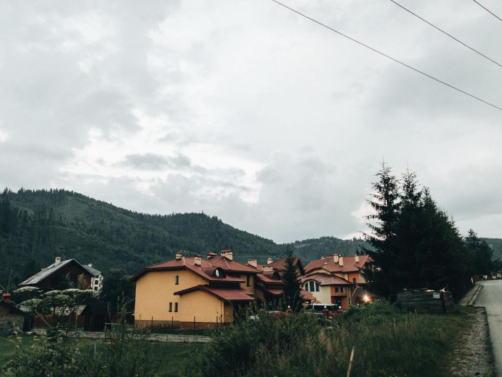 een groep huizen op een heuvel met bergen op de achtergrond bij Котедж "Romanna" in Slavske