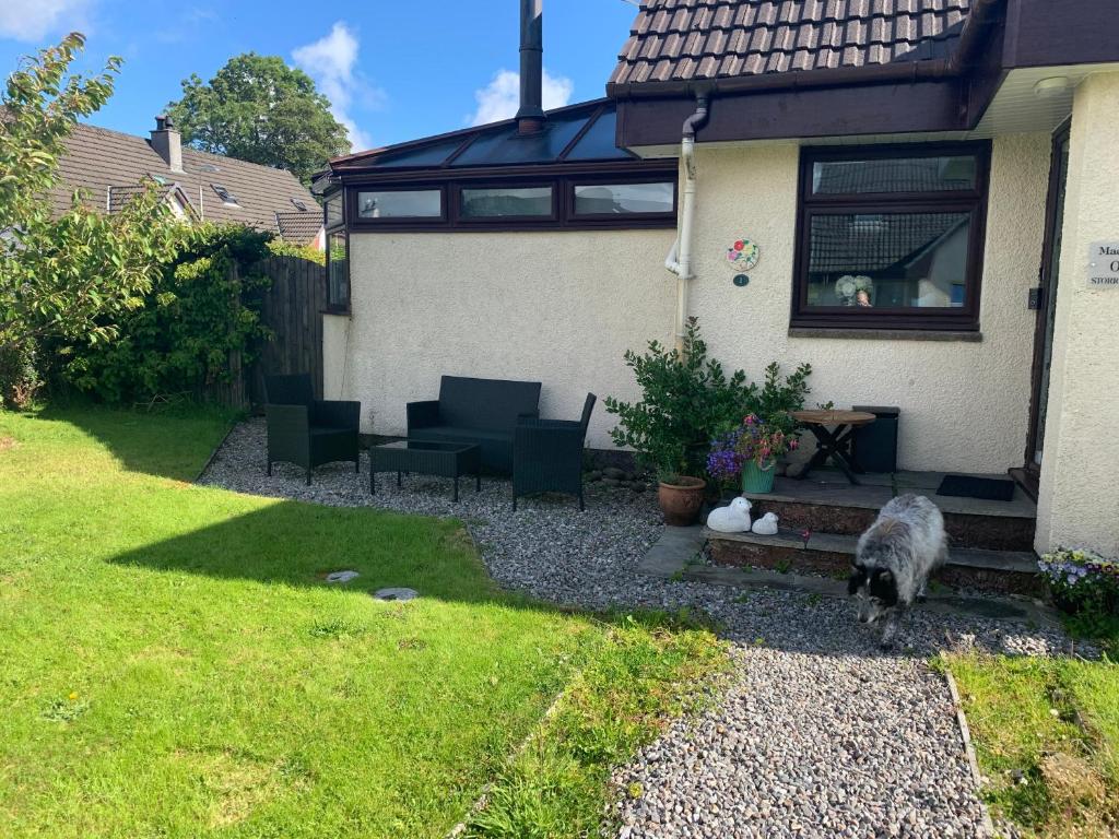 a dog is standing outside of a house at Tors Place in Portree