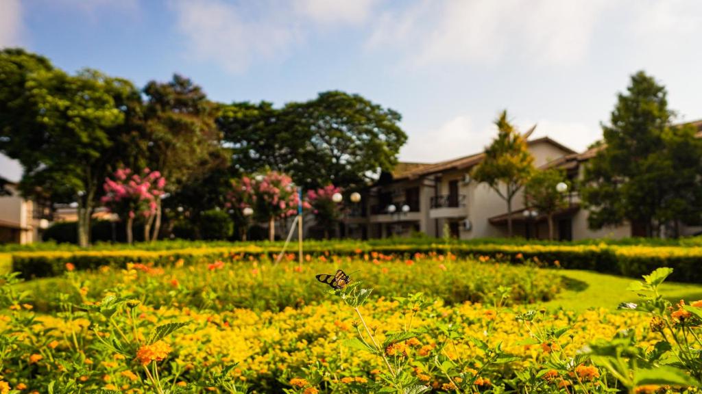  Hotel Villa Santo Agostinho