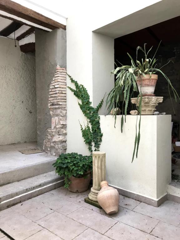 Zahrada ubytování Casa Oliván