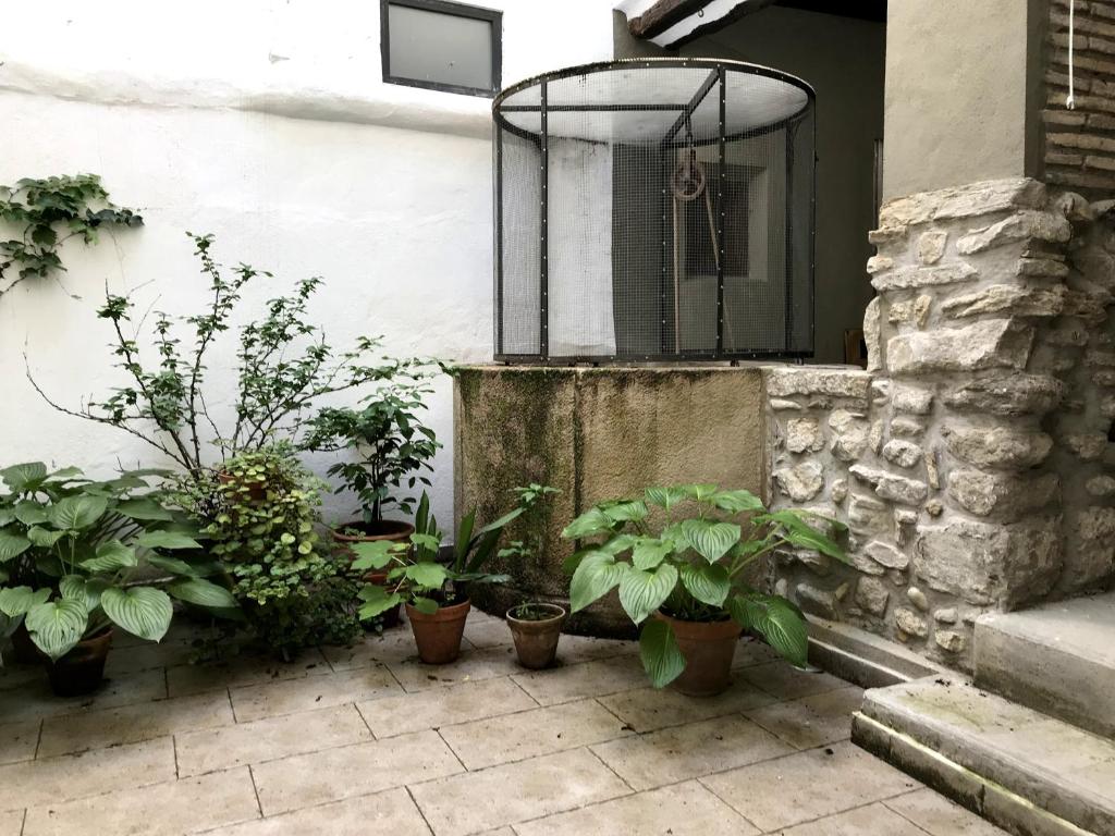 Zahrada ubytování Casa Oliván