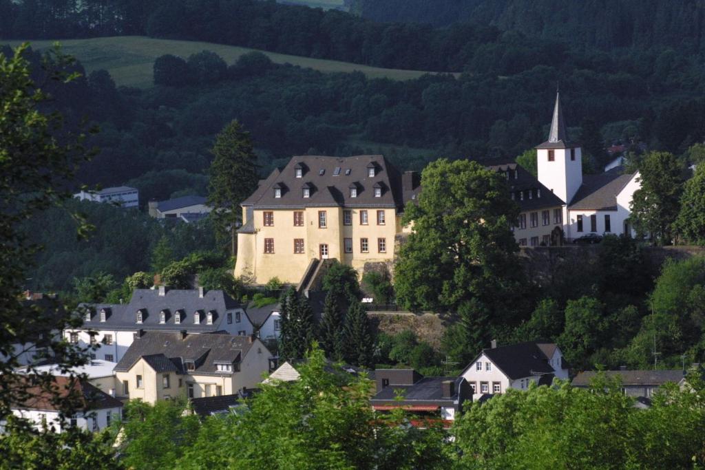 un grupo de casas y una iglesia en un pueblo en Schloßhotel Kurfürstliches Amtshaus Dauner Burg en Daun