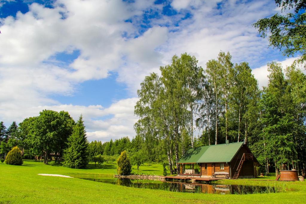 a cabin in a park with a pond and trees at Storių sodyba in Anykščiai