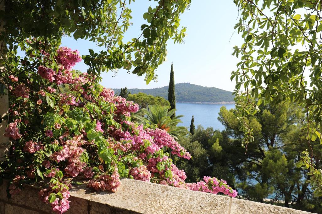 ein paar Blumen an einer Wand mit Blick auf einen See in der Unterkunft Apartment Vent in Dubrovnik