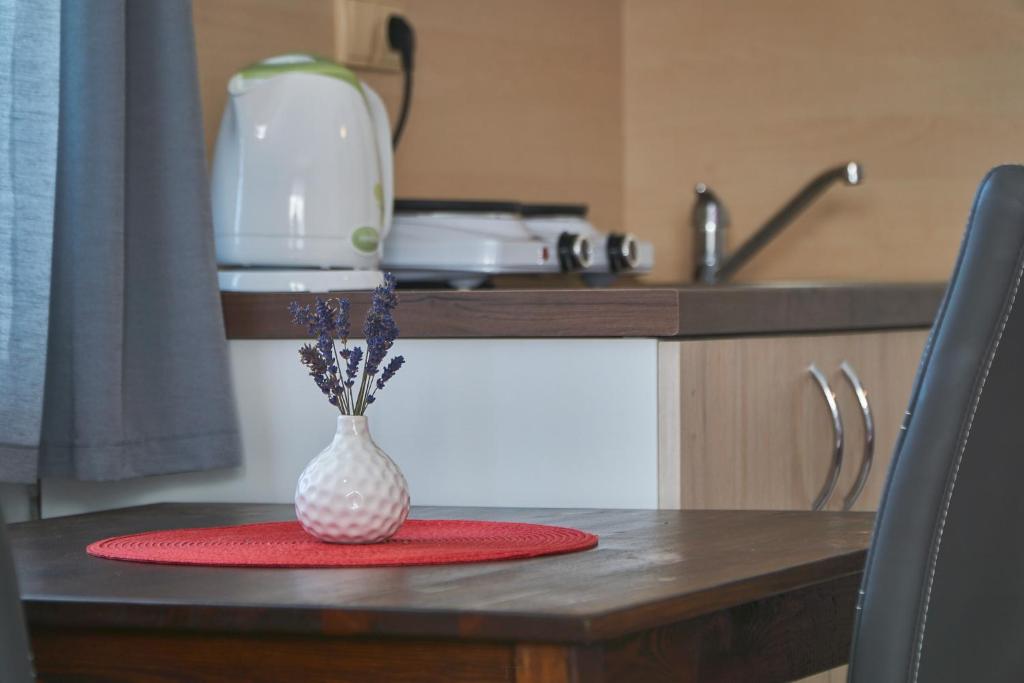 Apartmány Marjánka - 一居室公寓