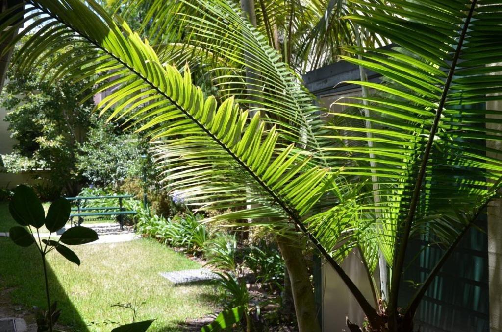 Avonmore On The Park Boutique Hotel - Resim 13