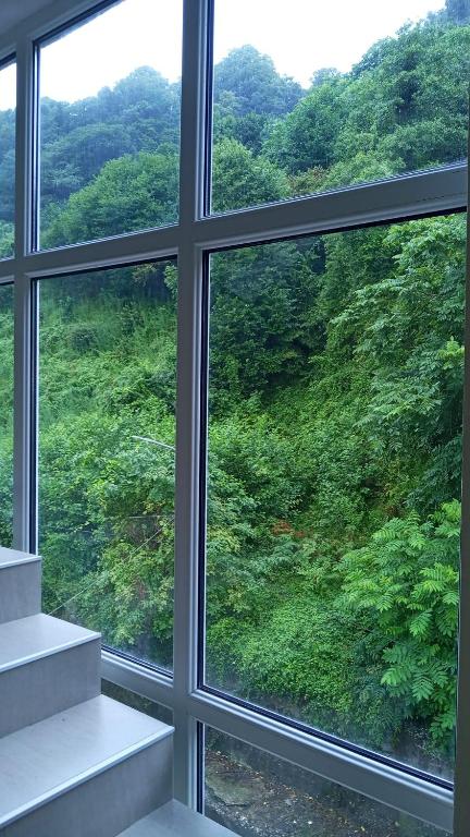 Vista general d'una muntanya o vistes d'una muntanya des de l'hostal o pensió