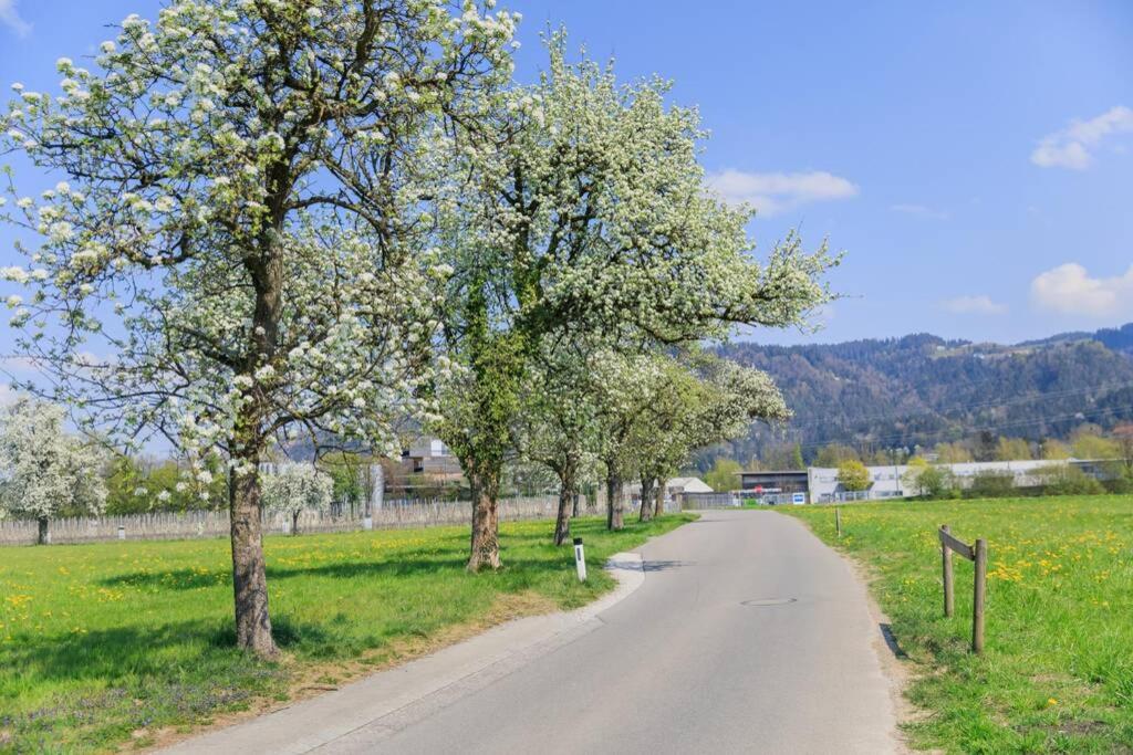 Příroda nedaleko apartmánu