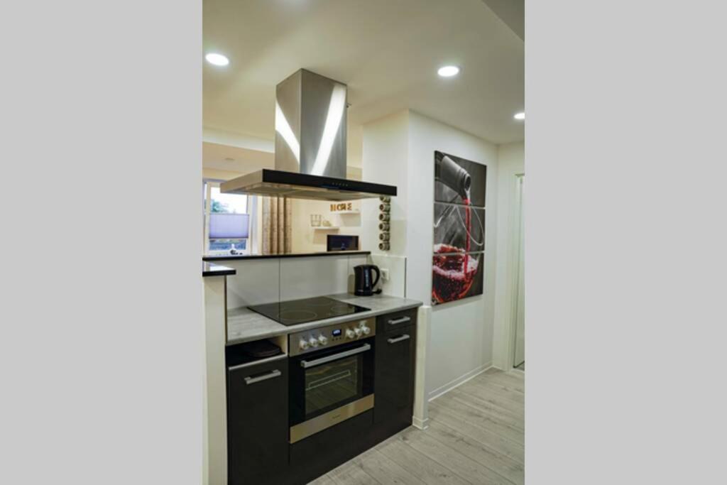 een keuken met een fornuis en een fornuis top oven bij HT Appartement Nr 1 in Greppin