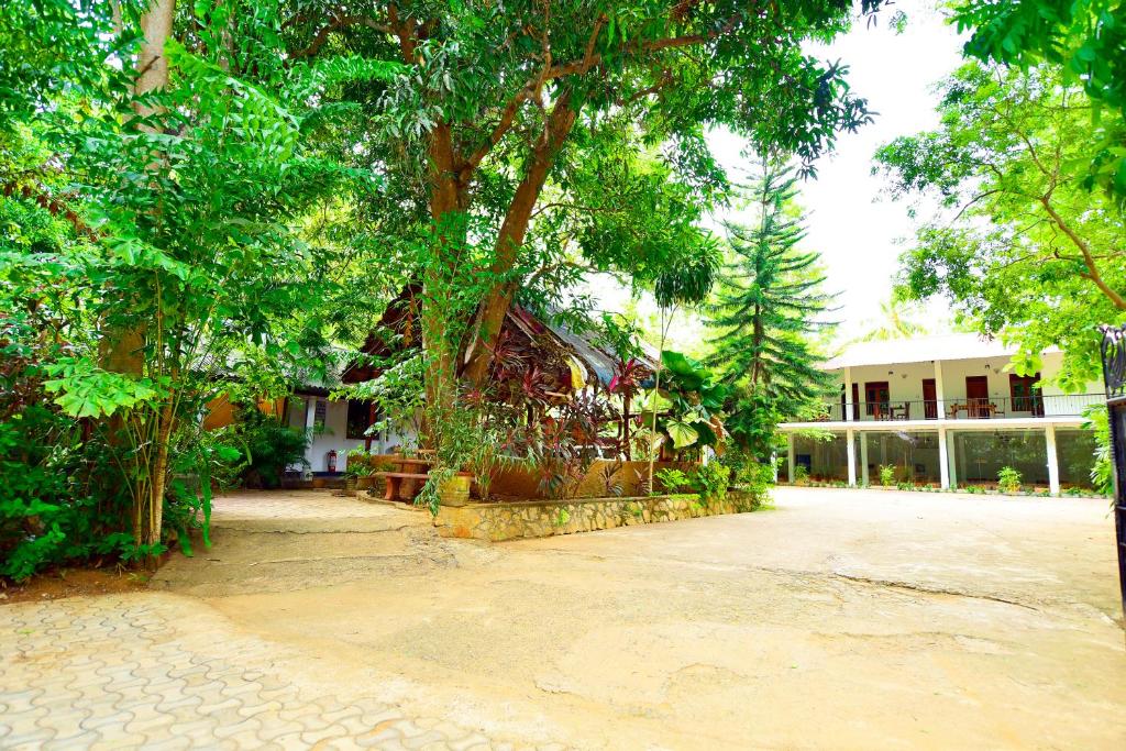 Zahrada ubytování Ariya Rest & Ayurveda spa