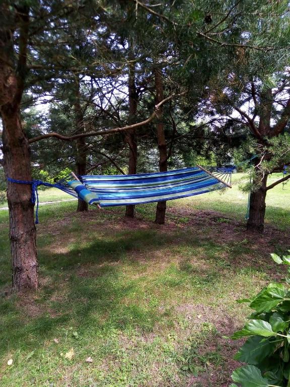 Vonkajšia záhrada v ubytovaní Dom Pod Sosnami