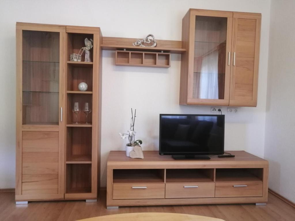 TV a/nebo společenská místnost v ubytování Mountain alpine