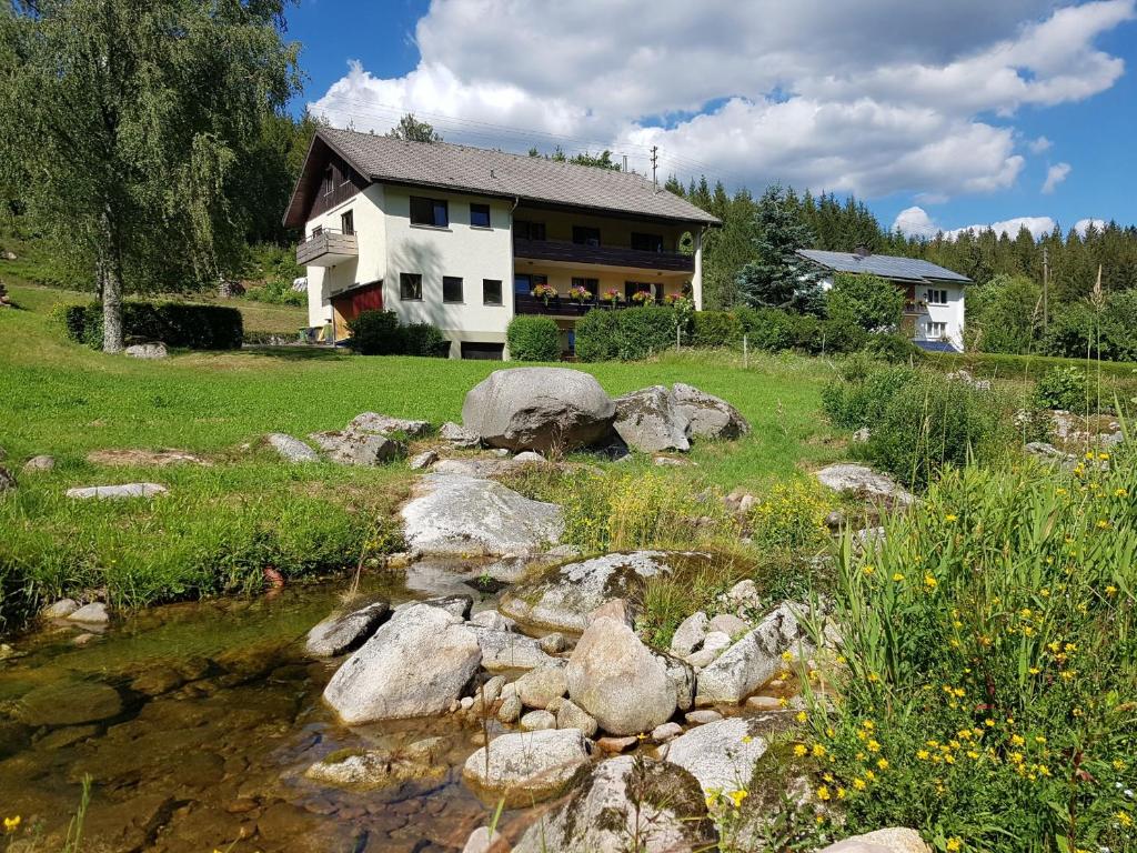 una casa con un estanque delante de ella en Ferienwohnung Haus Wiesengrund en Forbach