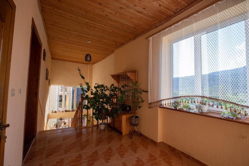 Balkón nebo terasa v ubytování Guest House in Drachino