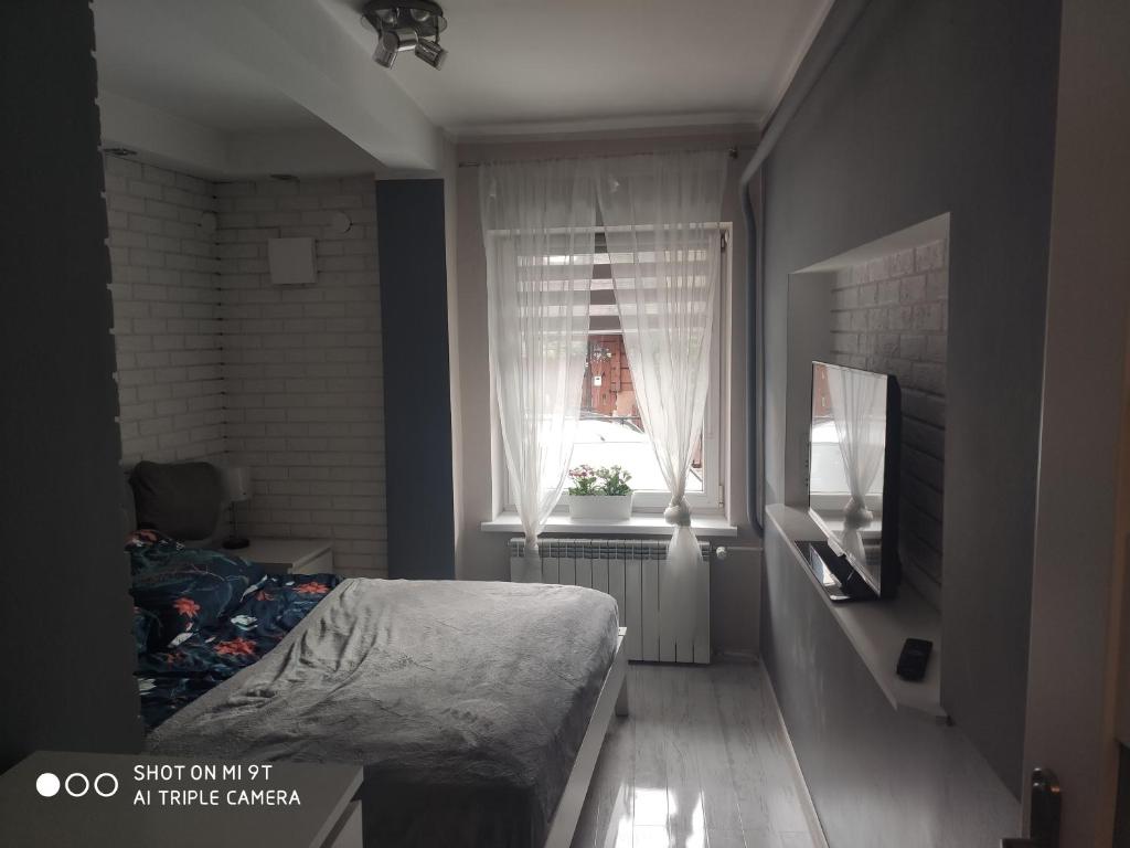 Televízia a/alebo spoločenská miestnosť v ubytovaní Apartament Tygrys