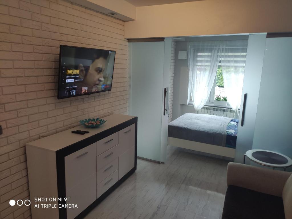 Televízia a/alebo spoločenská miestnosť v ubytovaní Apartament Tygrys