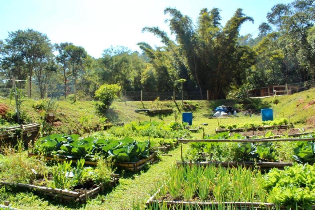  Sitio Arco Iris da Lia