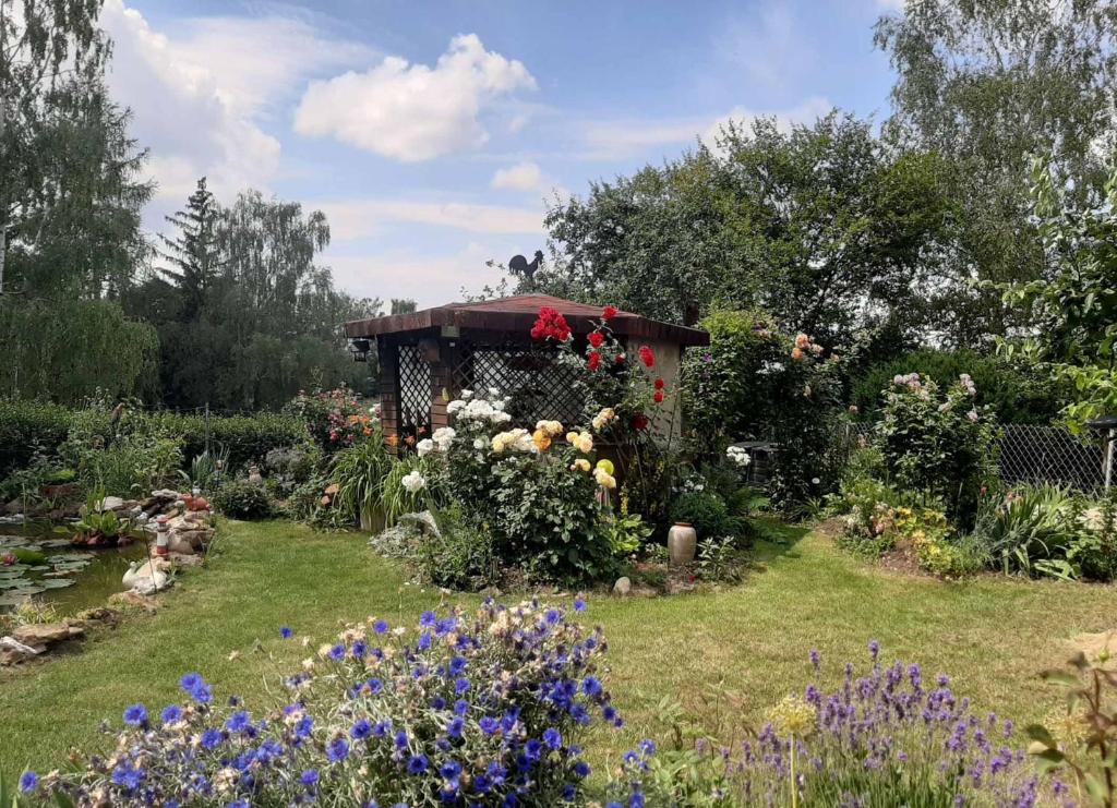 Zahrada ubytování Gästehaus Edelmann